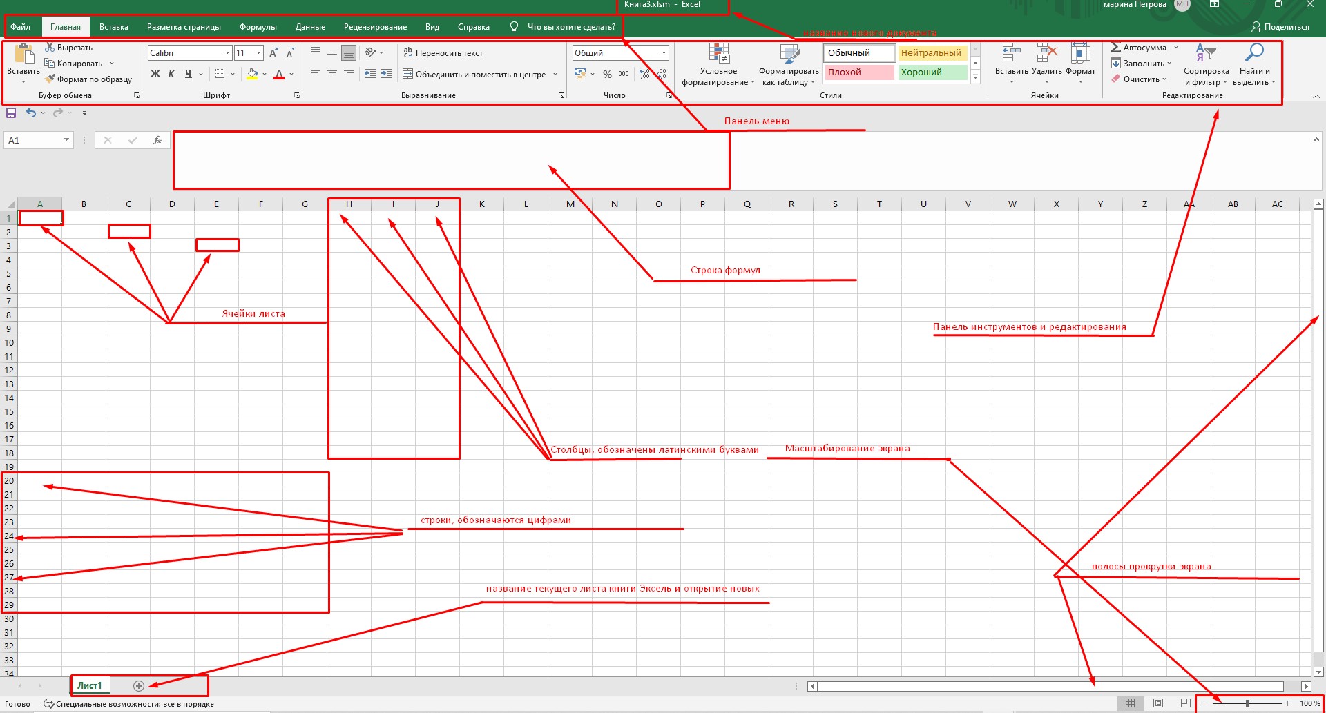 Так выглядит пустой лист книги Excel.