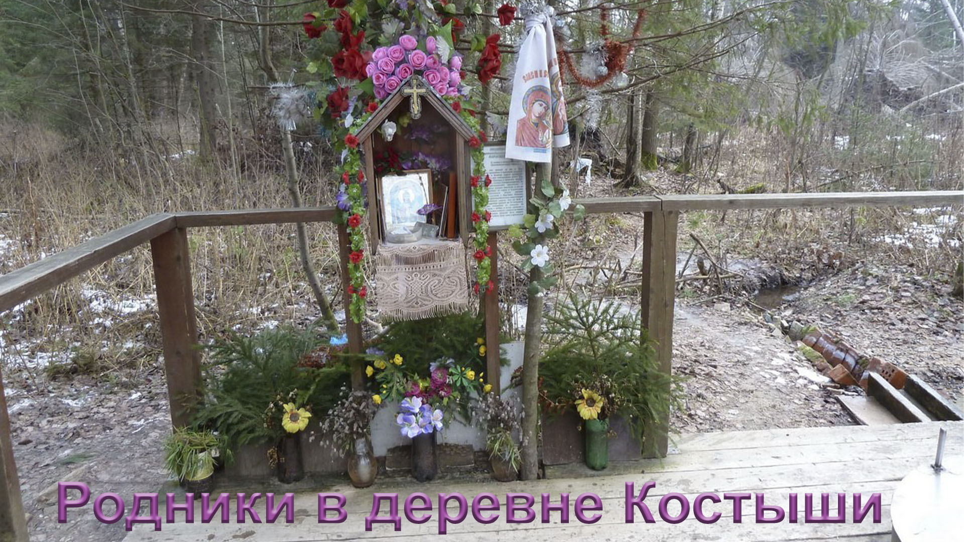 Источники в деревне Костыши.