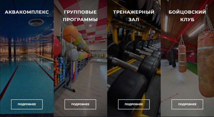 Основные направления деятельности фитнес центра Dolphin Club.