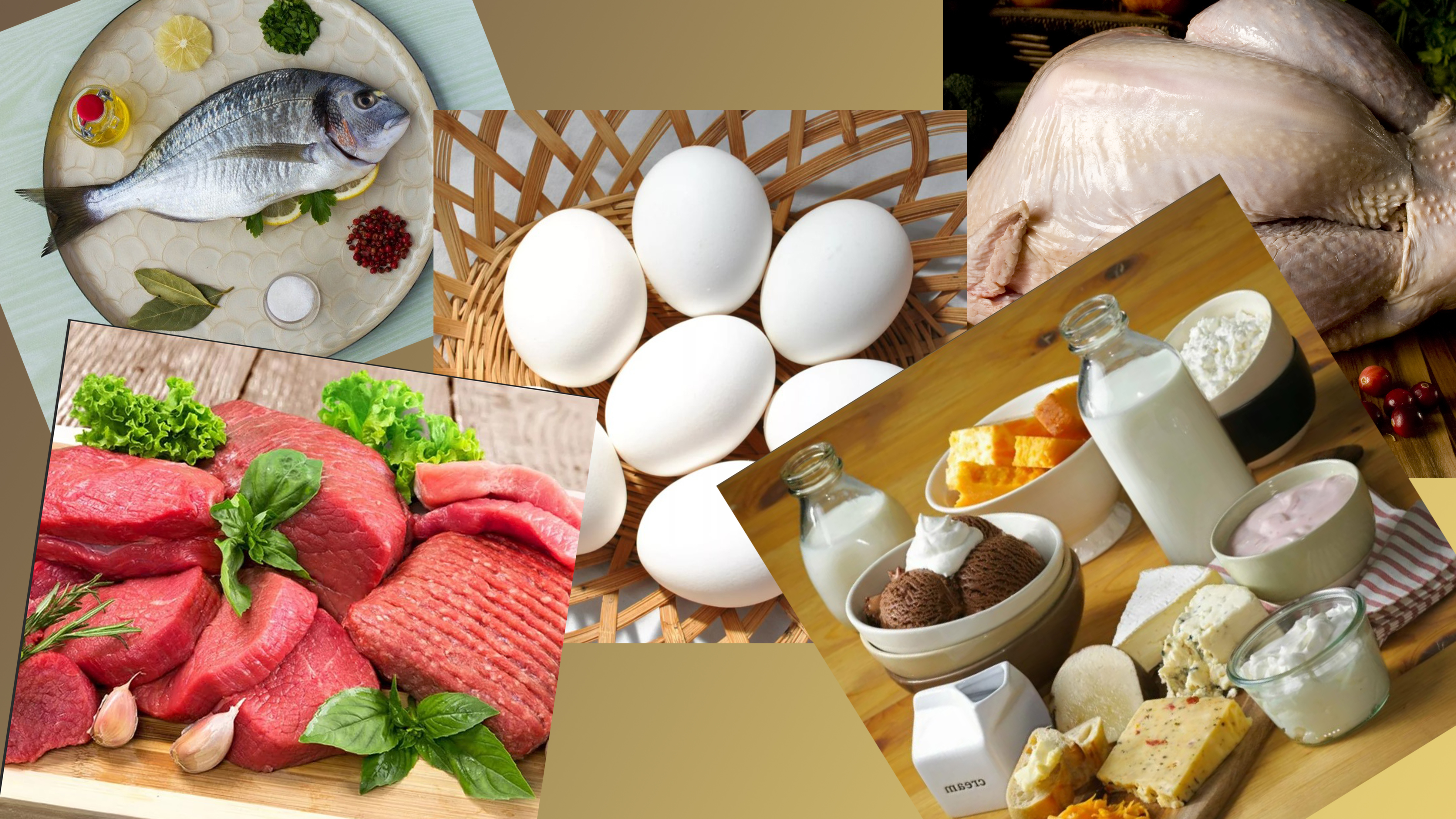 Белки содержатся в животной продукции: мясе, рыбе, молочных продуктах, яйце и частично в растительной пище.