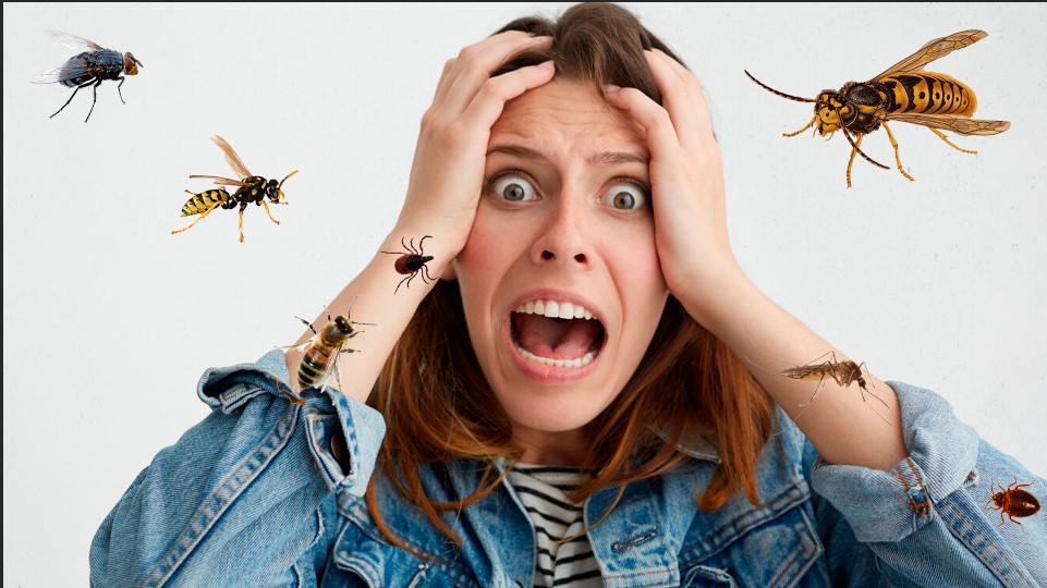 Укусы опасных кровососущих и жалящих насекомых могут привести а отеку, зуду и аллергии.