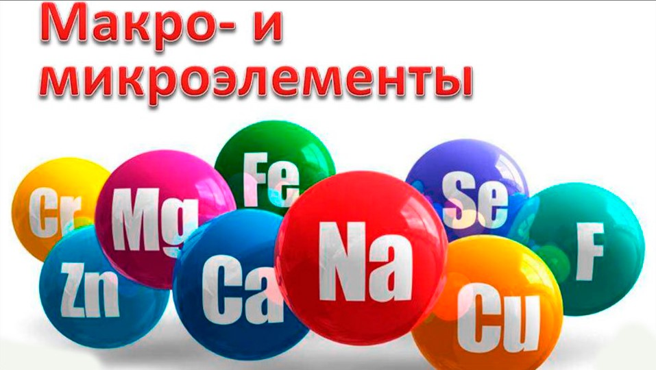 Микроэлементы и микроэлементы картинки